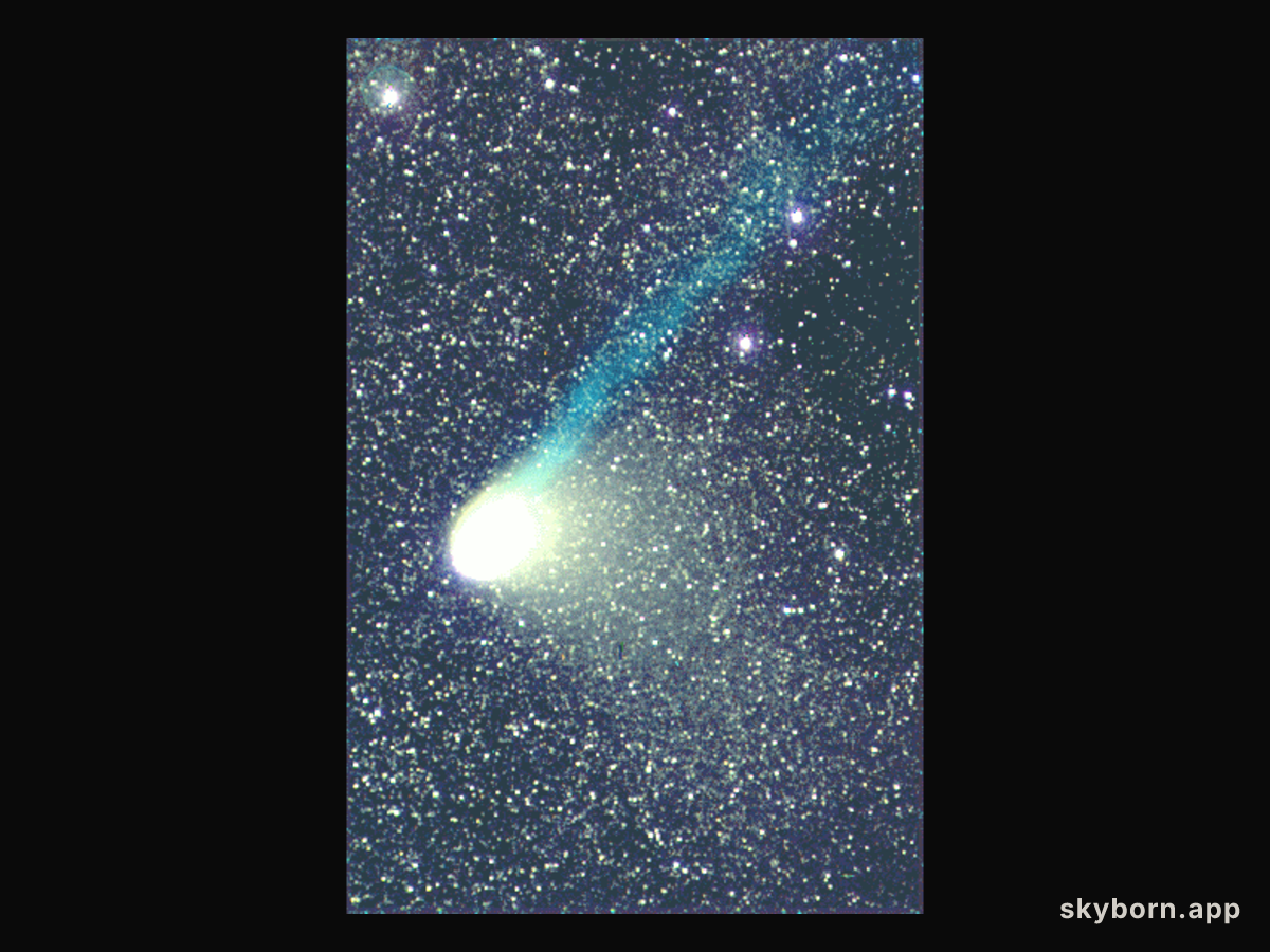 Comet Hale-Bopp Develops a Tail