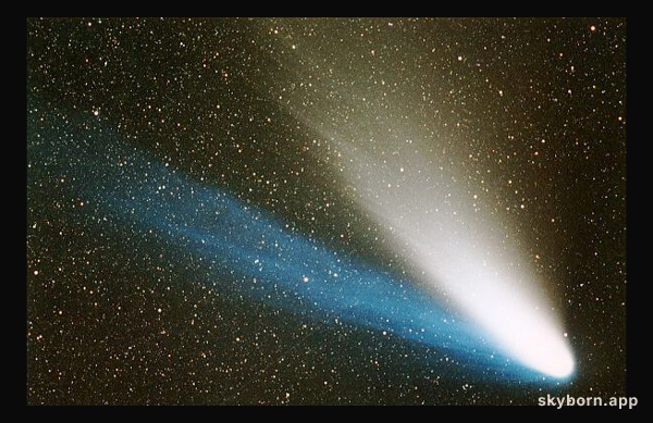 Springtime Comet Fever
Credit: