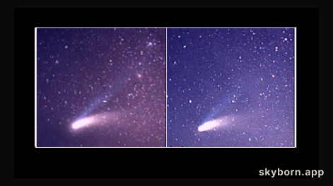 Hale-Bopp In Stereo 
Credit and Copyright: