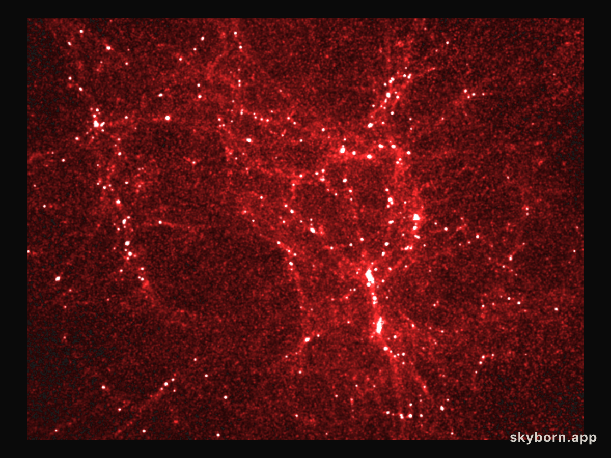 The Early Universe