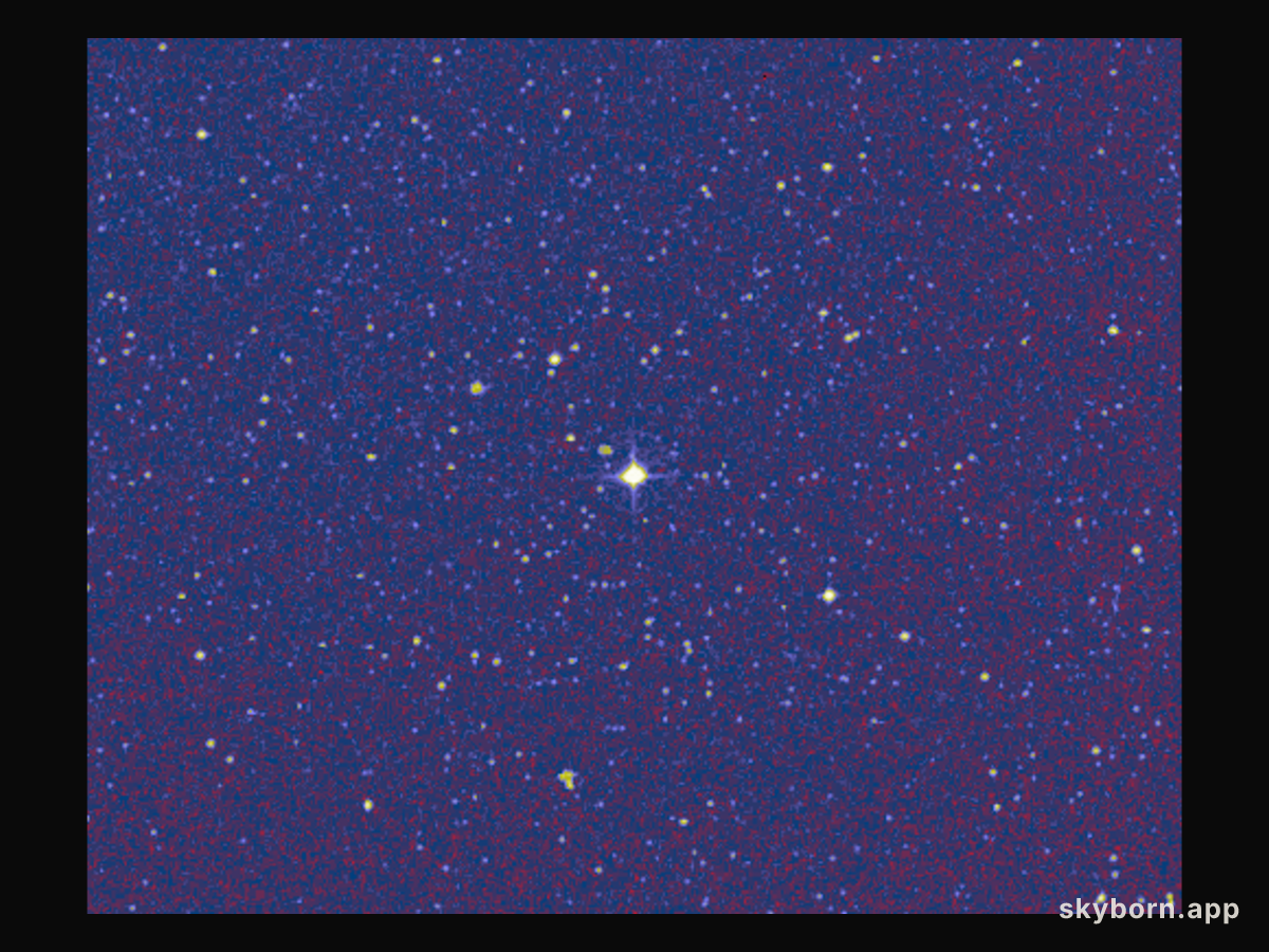 A Close Encounter of the Stellar Kind