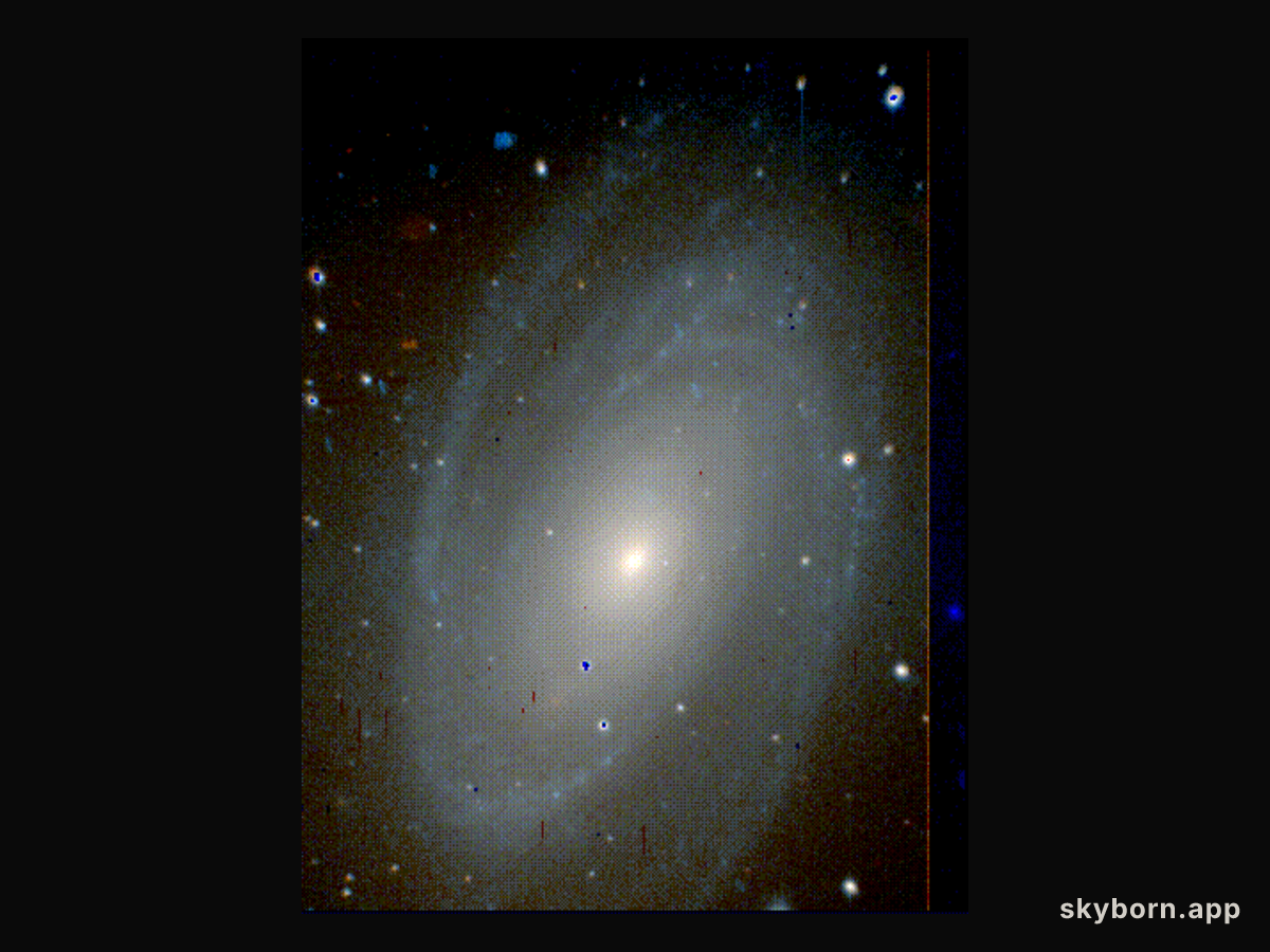 M81 in True Color