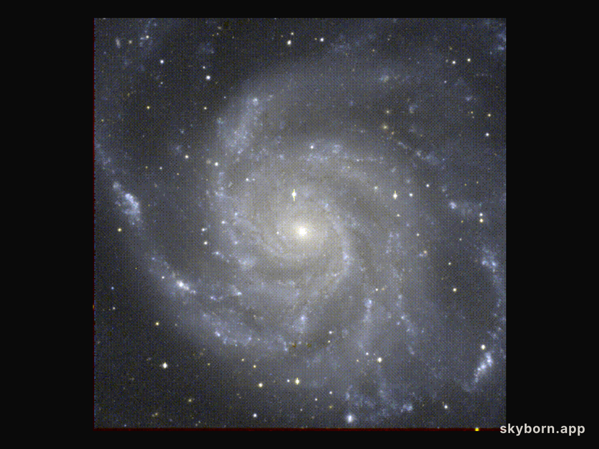 M101: The Pinwheel Galaxy