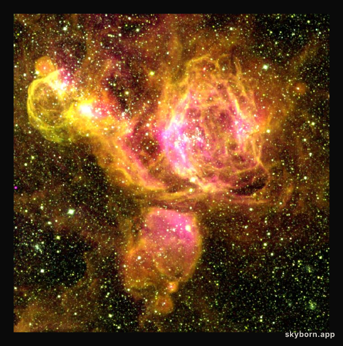 A Star Forming Region in the LMC