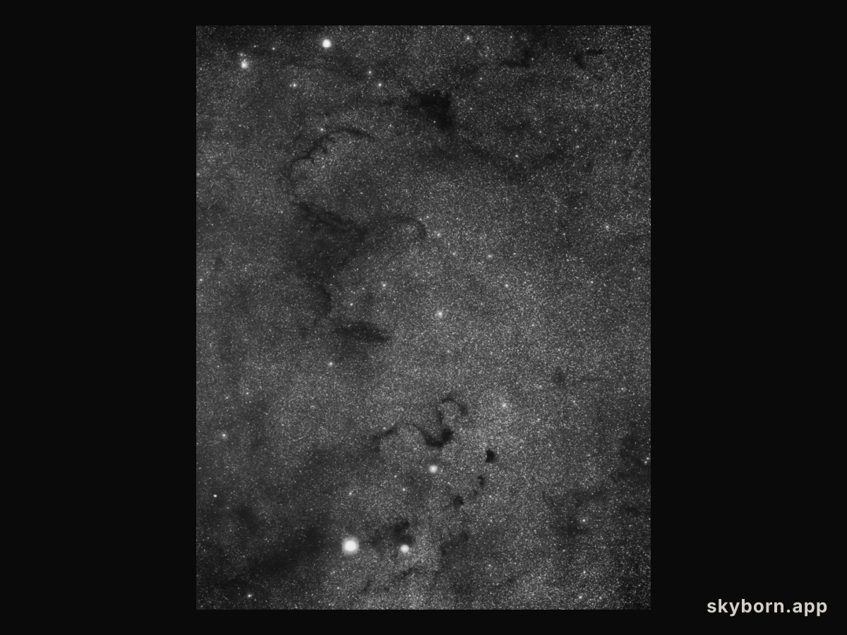 The Snake Nebula in Ophiuchus