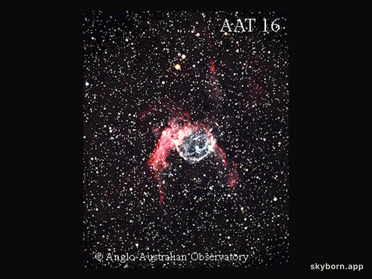 A Wolf Rayet Star Bubble