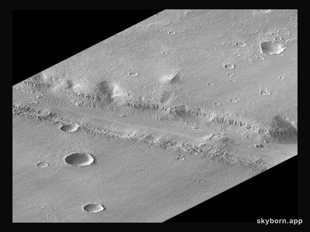 Surveyor At Mars