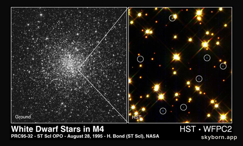 White Dwarf Stars Cool