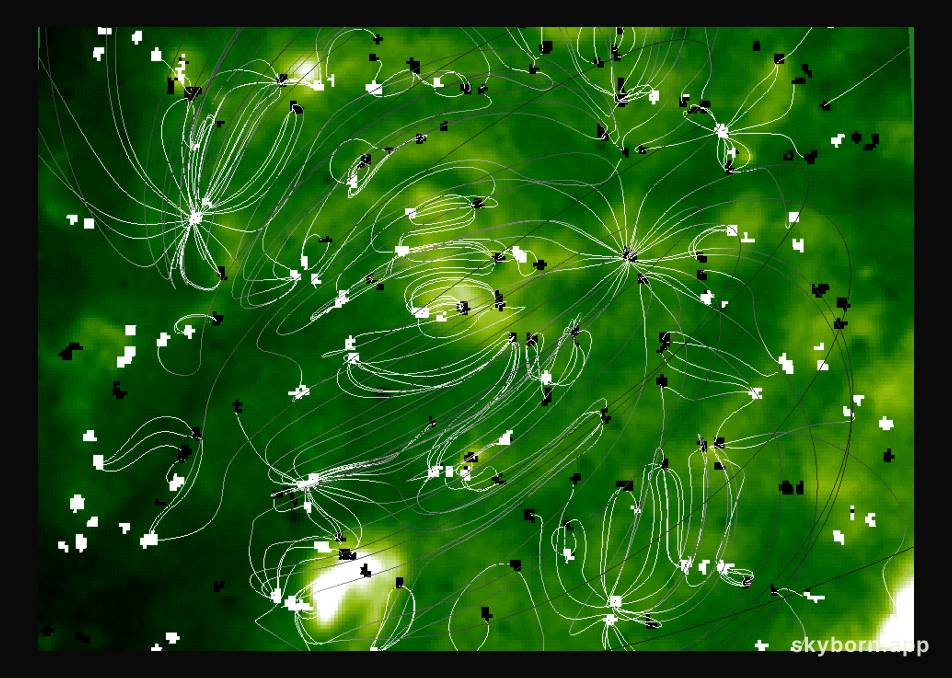 The Magnetic Carpet Of The Sun