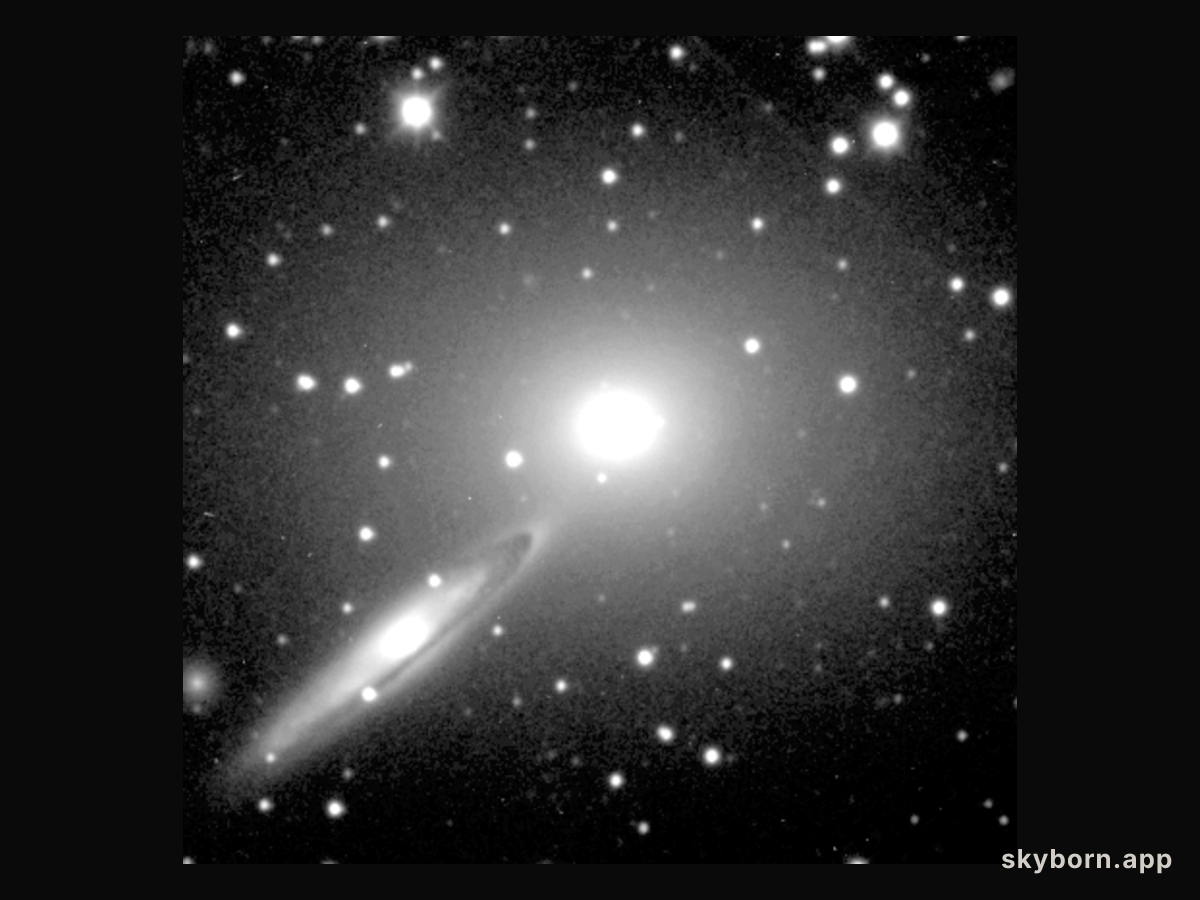Seeing Through Galaxies