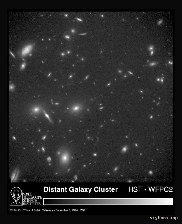 A Distant Cluster of Galaxies