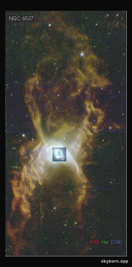 The Red Spider Planetary Nebula