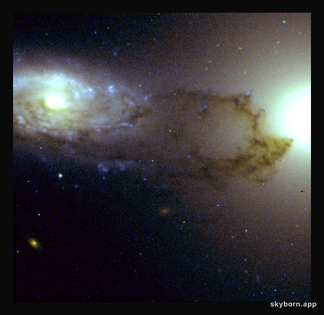 Dusting Spiral Galaxies