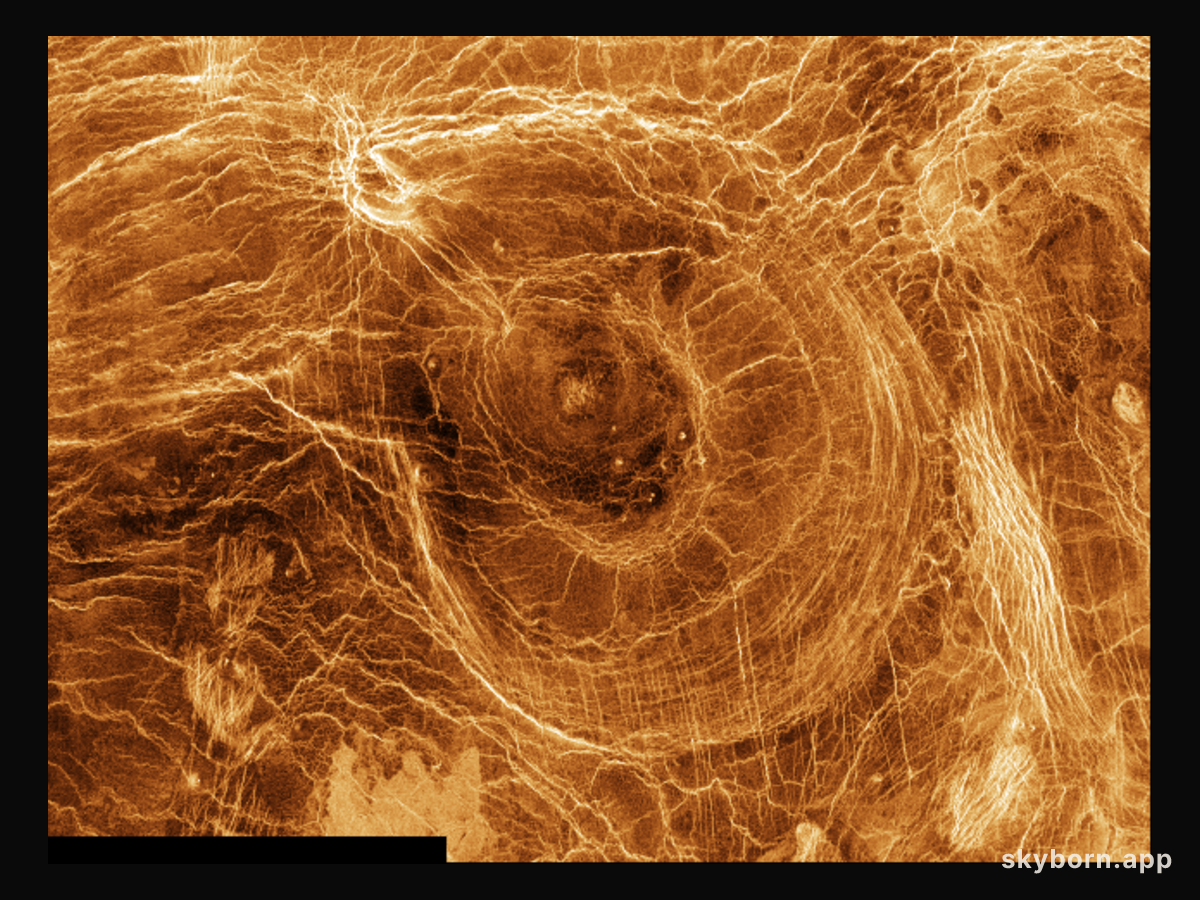 Arachnoids on Venus