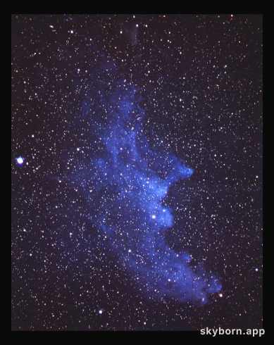 The Witch Head Nebula