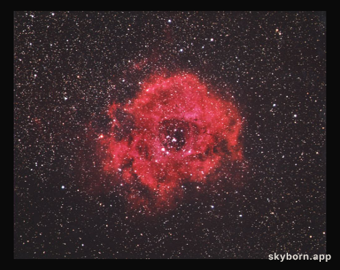 The Rosette Nebula