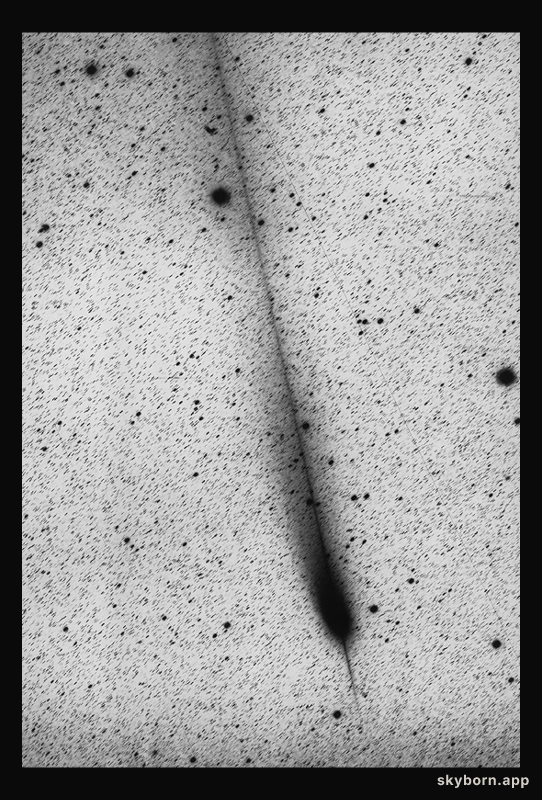 Hale-Bopp: A Continuing Tail