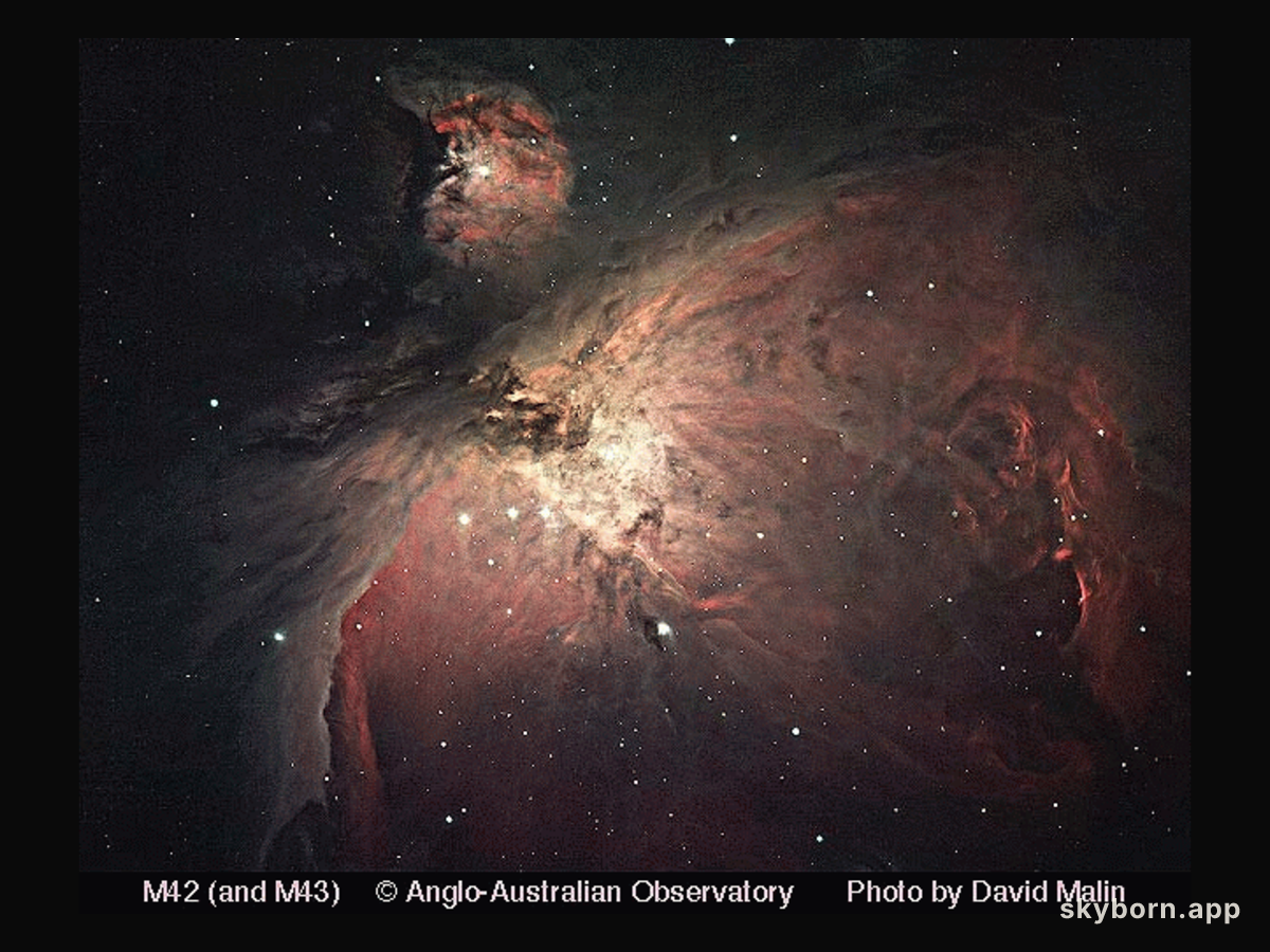 Water in Orion