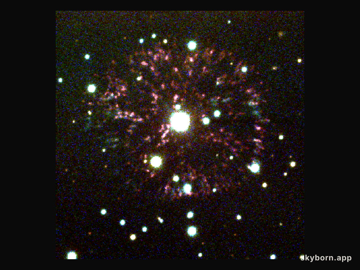 The Firework Nebula