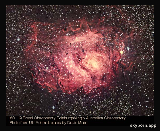 M8: The Lagoon Nebula