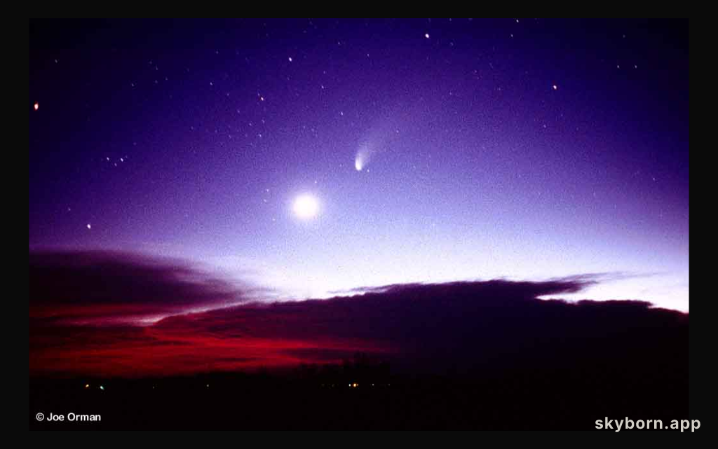 Hale-Bopp: The Crowd Pleaser Comet