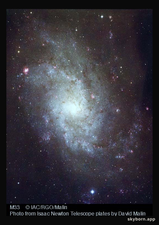 Nearby Spiral M33