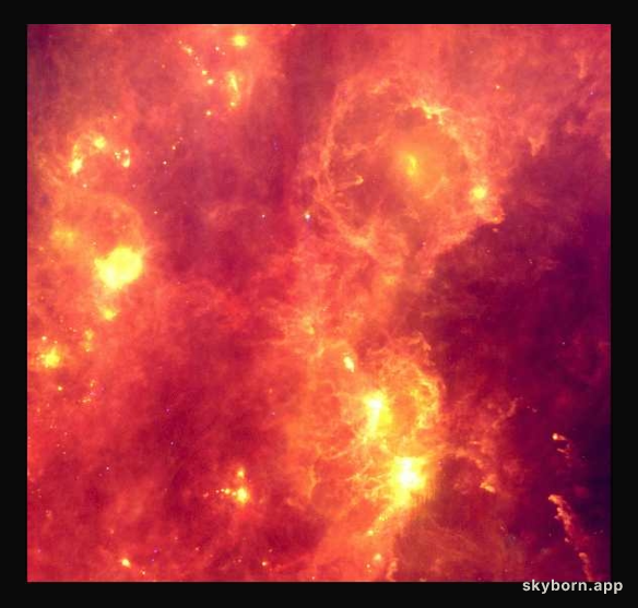 IRAS Orion