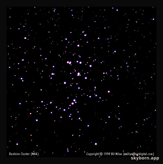 M44: A Beehive of Stars
