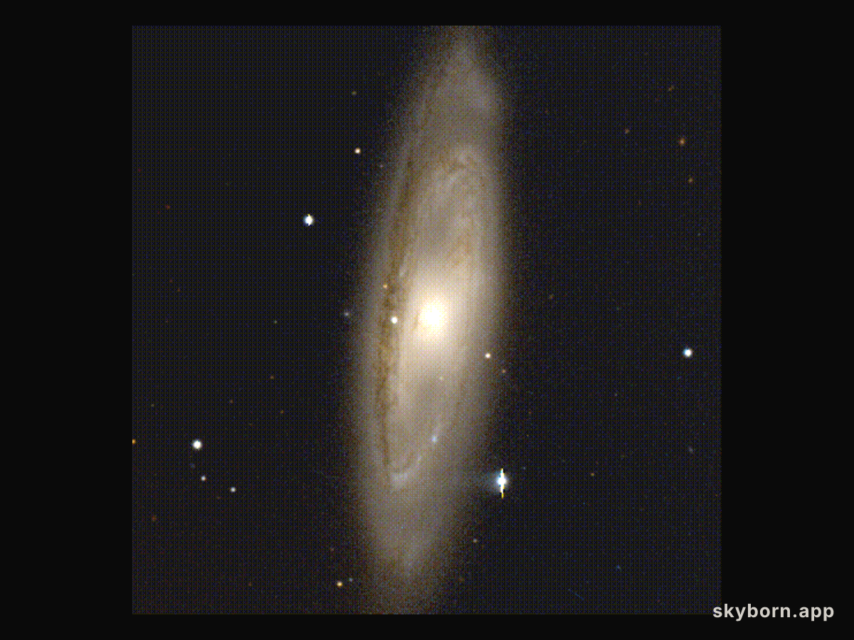 M65 Without Moth