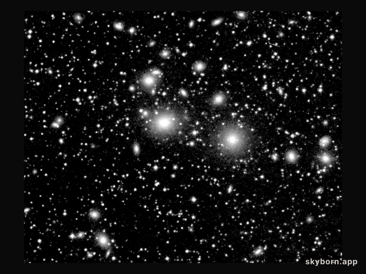 The Perseus Cluster of Galaxies