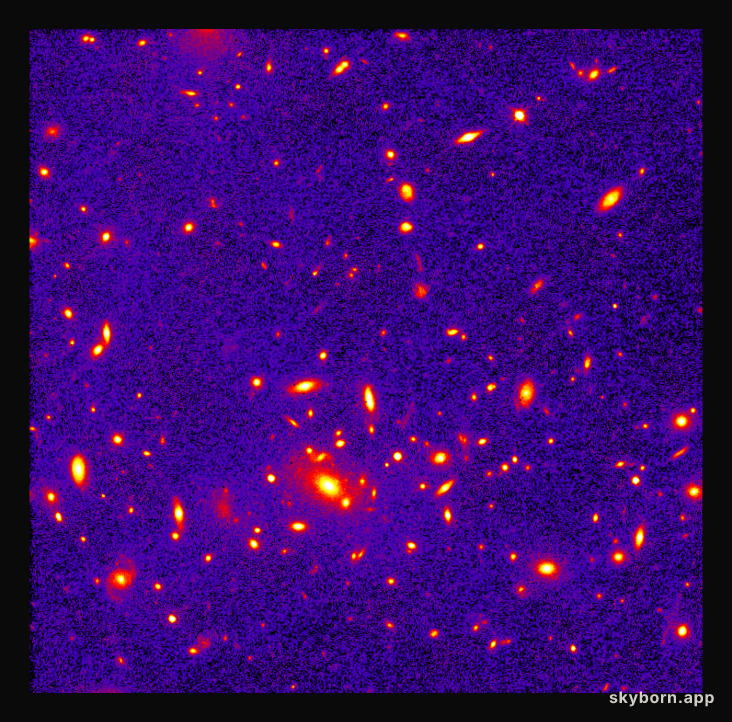 A Massive Cluster In A Young Universe