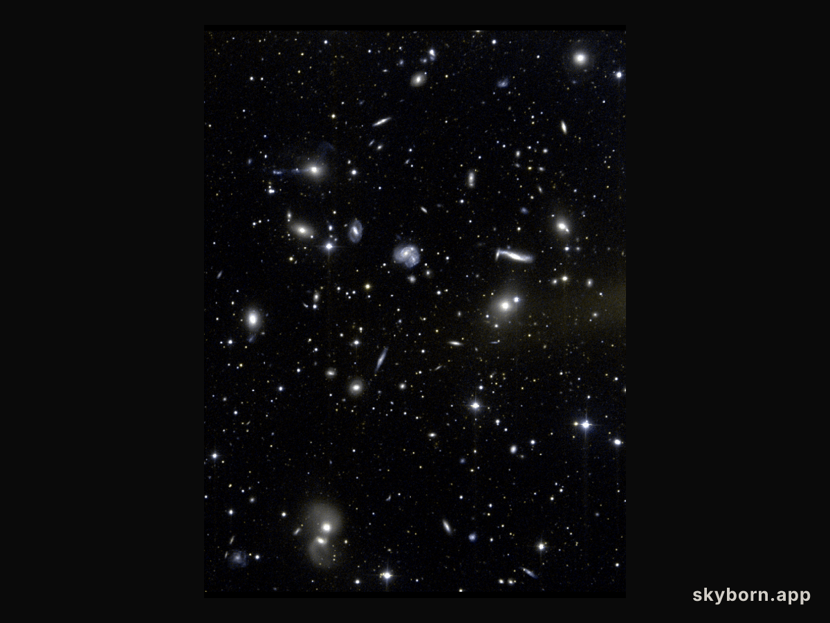 Hercules Galaxies