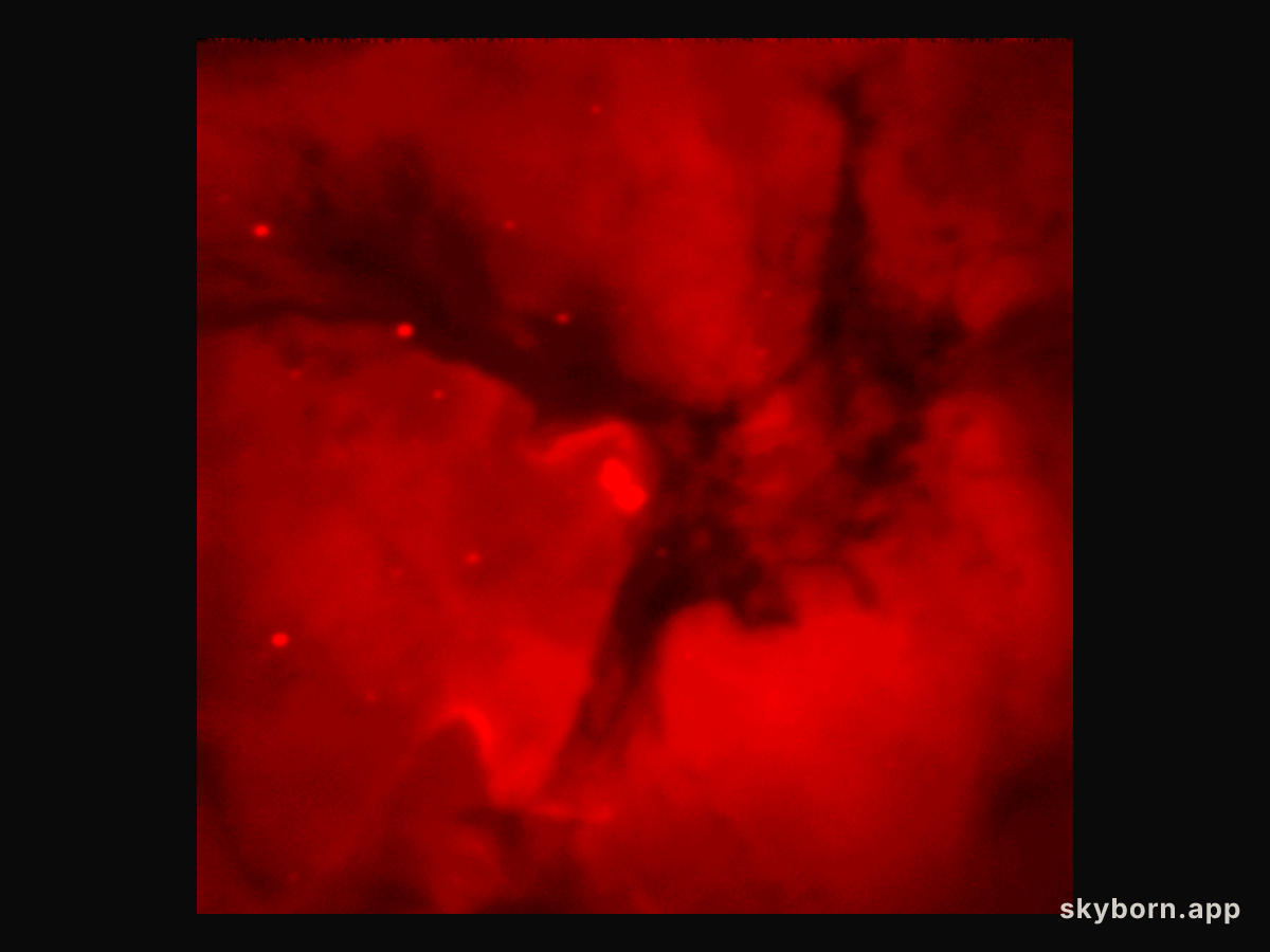 Hydrogen Trifid