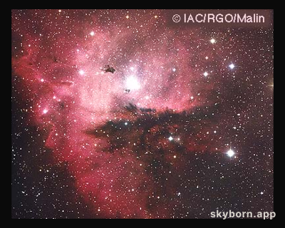 NGC 281: Cluster, Clouds, and Globules