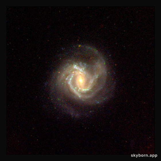 M61: Virgo Spiral Galaxy