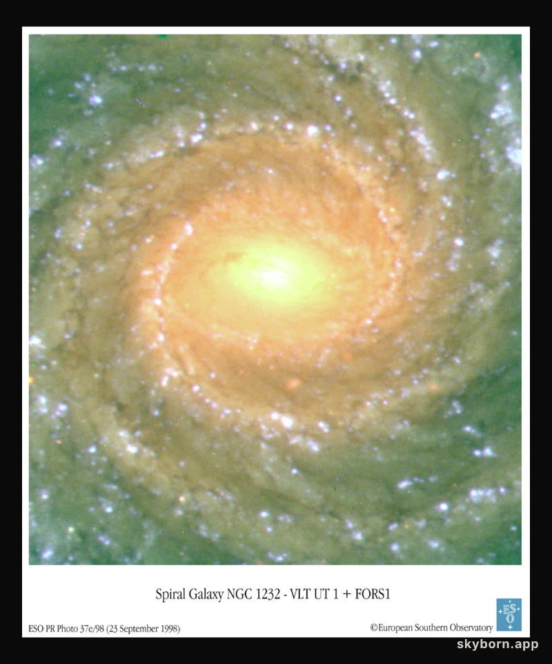 Spiral Galaxy NGC 1232