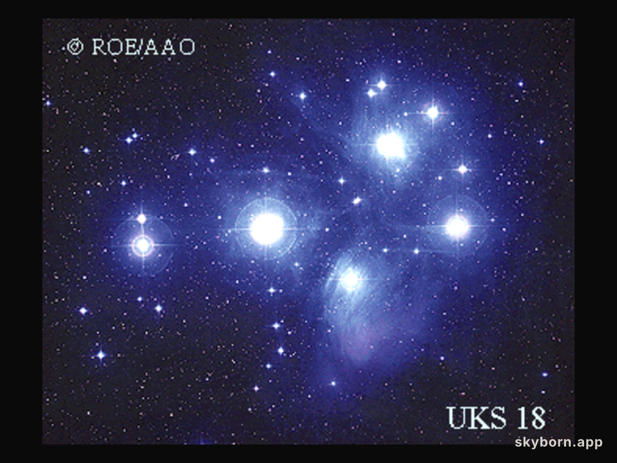 The Pleiades Star Cluster