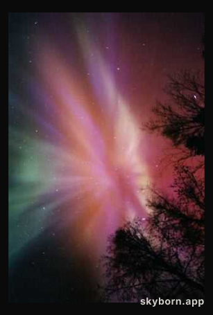 Aurora Above
