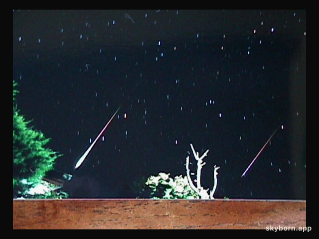 Bright Leonids