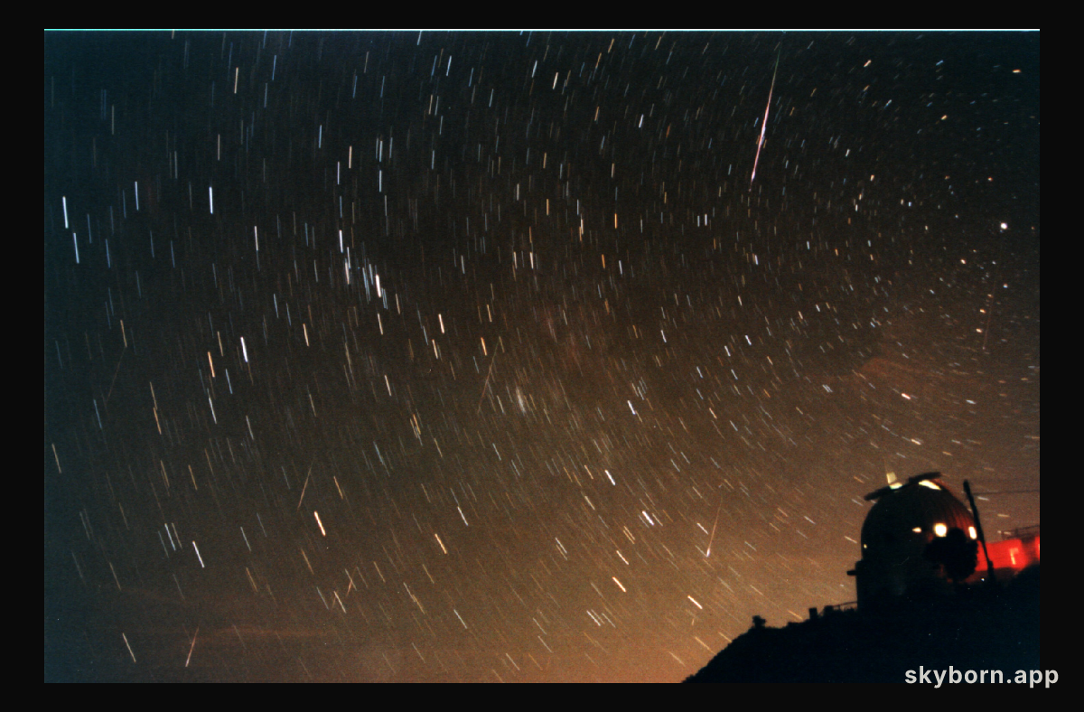 Seven Leonids Over Wise Observatory