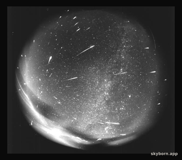 Leonids from Leo
