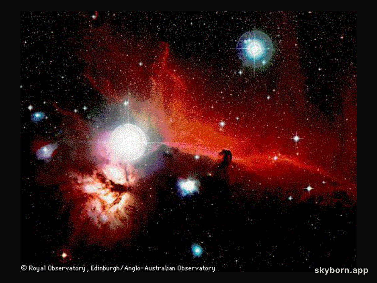Orion's Horsehead Nebula