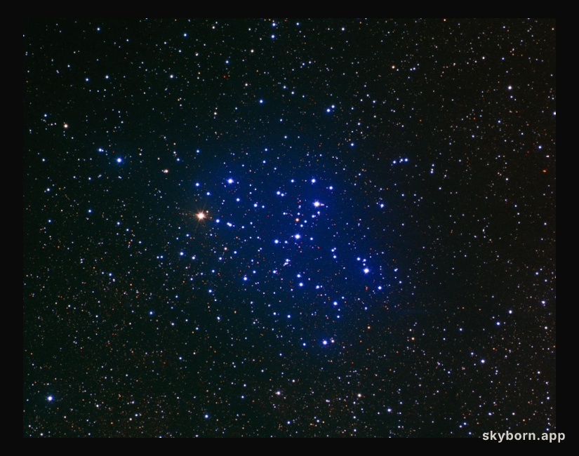 M6: The Butterfly Cluster