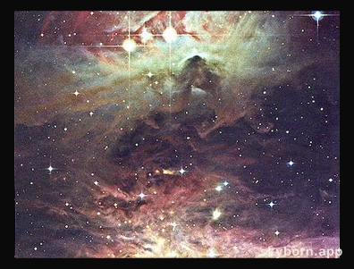 Reflections Of Orion