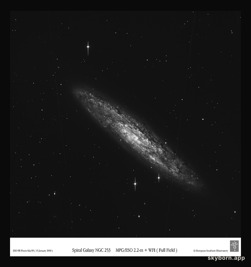 Spiral Galaxy NGC 253