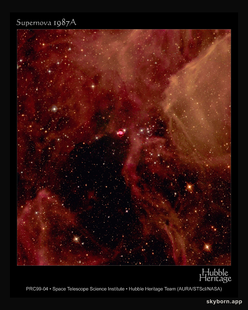 A Supernova Star-Field