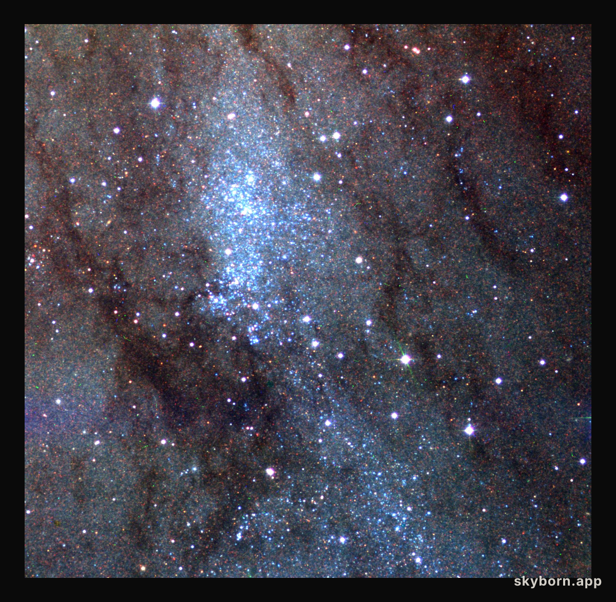 Stars of NGC 206
