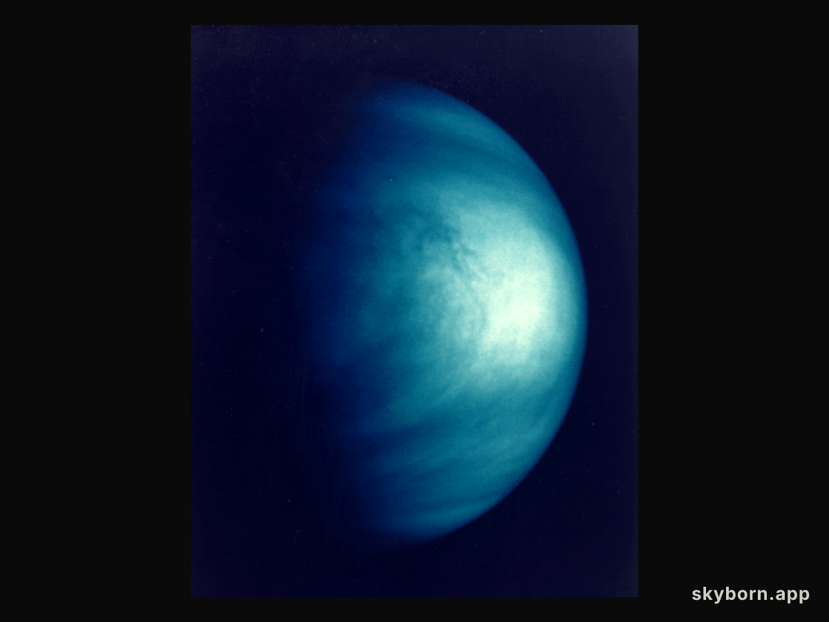 Venus: Just Passing By