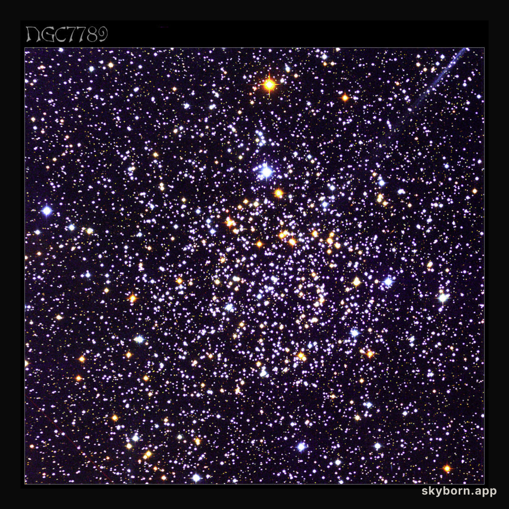 NGC 7789: Galactic Star Cluster