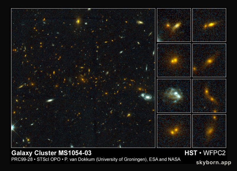 Cosmic Collisions in a Galaxy Cluster